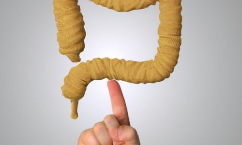 a finger pointing at a large intestine